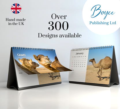 Camel Desk Calendar 2027-2028