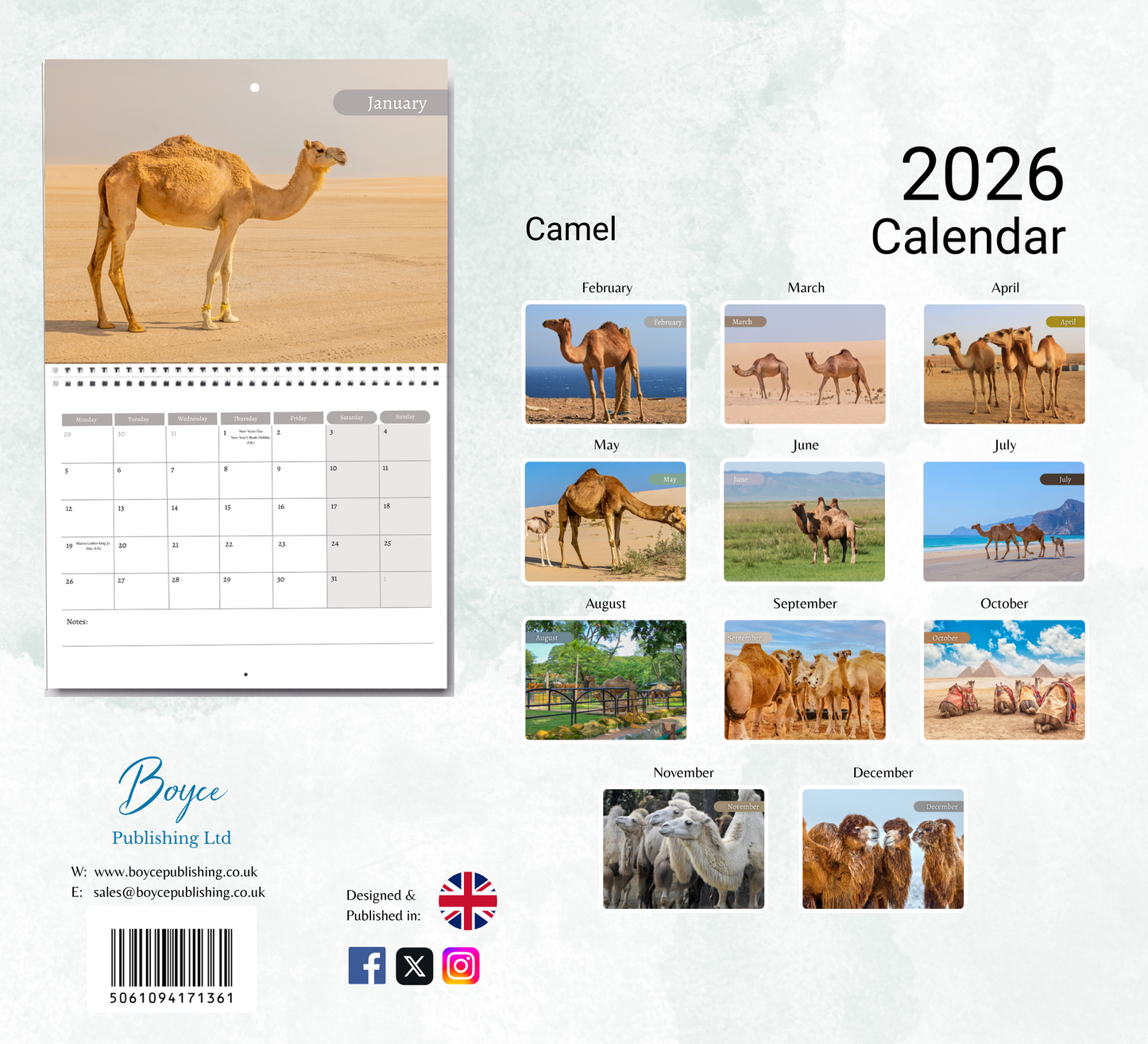Camel Calendar 2026