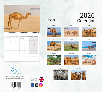 Camel Calendar 2026