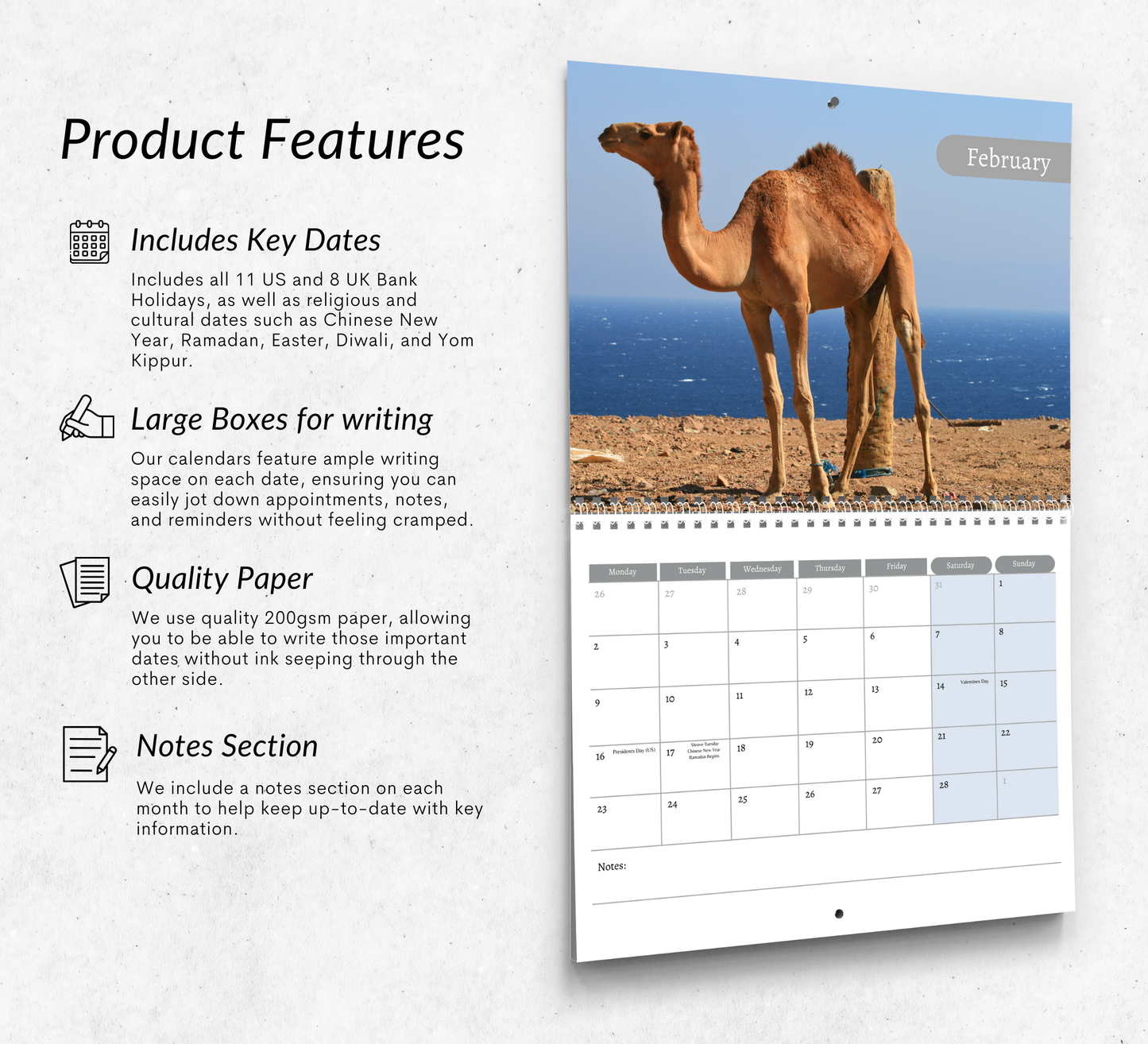 Camel Calendar 2026