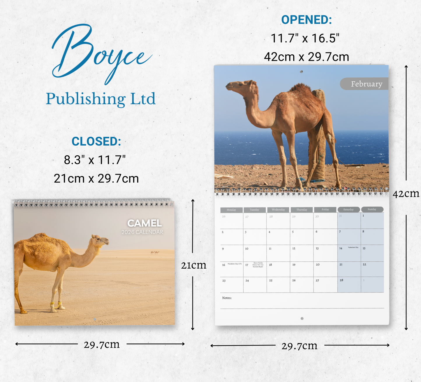 Camel Calendar 2026