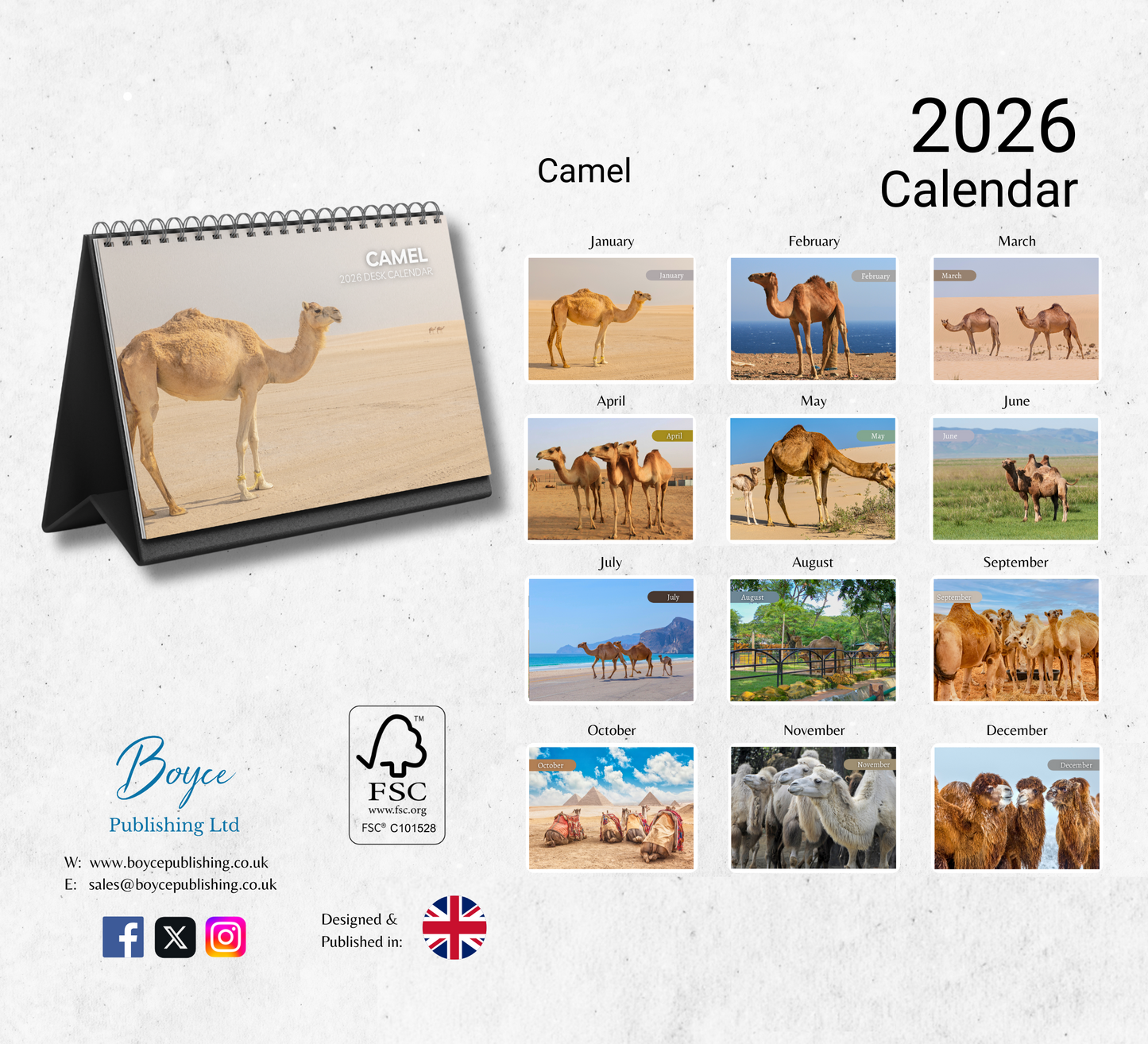 Camel Desk Calendar 2026-2027