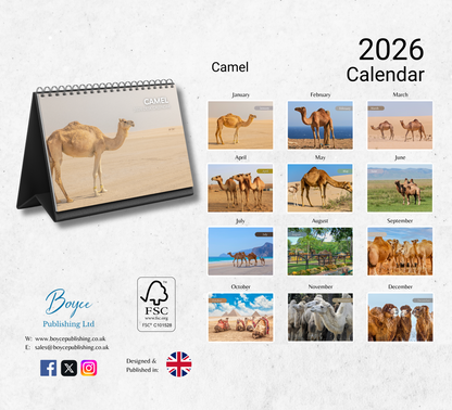 Camel Desk Calendar 2026-2027