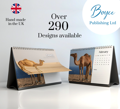 Camel Desk Calendar 2026-2027