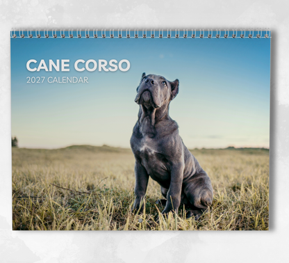 Cane Corso Calendar 2027