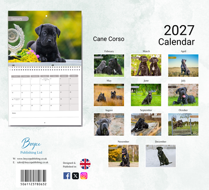 Cane Corso Calendar 2027
