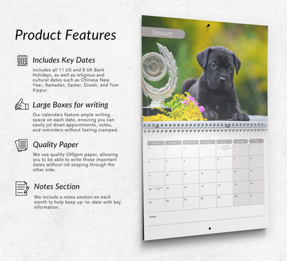Cane Corso Calendar 2027