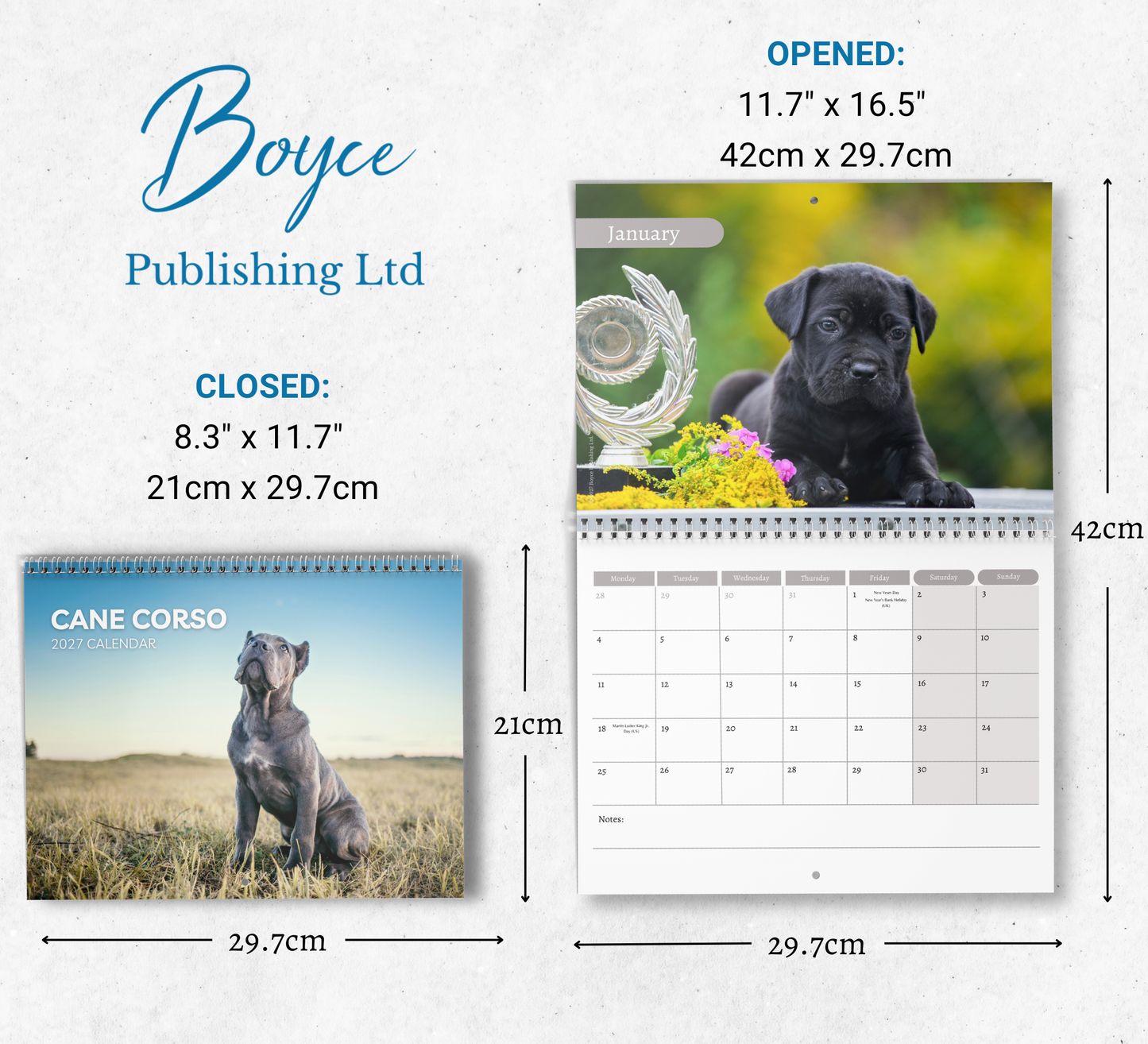 Cane Corso Calendar 2027