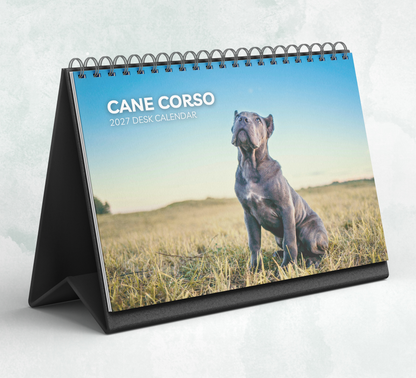 Cane Corso Desk Calendar 2027-2028