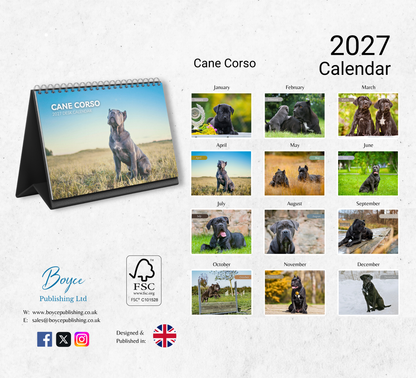 Cane Corso Desk Calendar 2027-2028