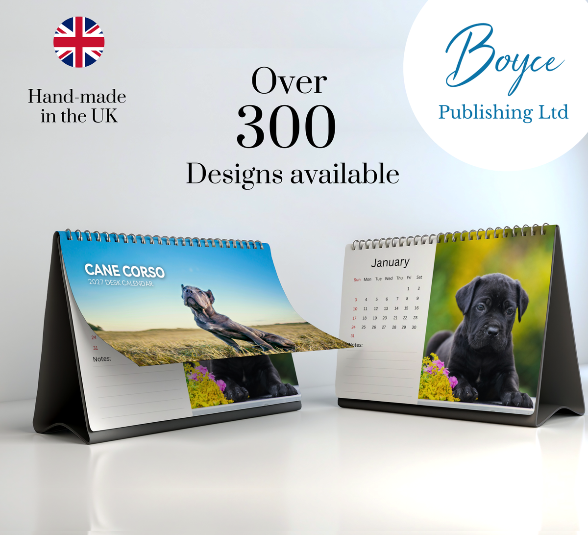Cane Corso Desk Calendar 2027-2028