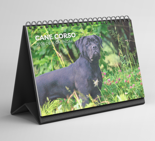 Cane Corso Desk Calendar 2026-2027