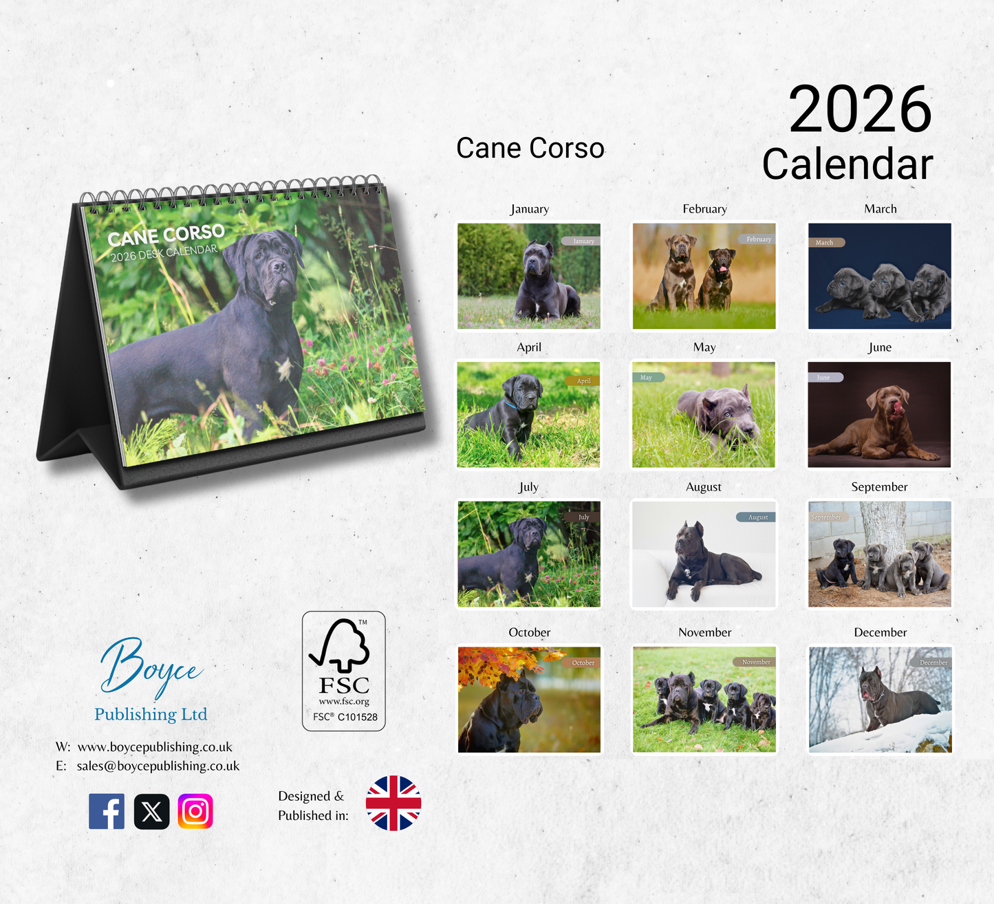 Cane Corso Desk Calendar 2026-2027