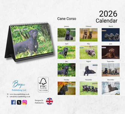 Cane Corso Desk Calendar 2026-2027