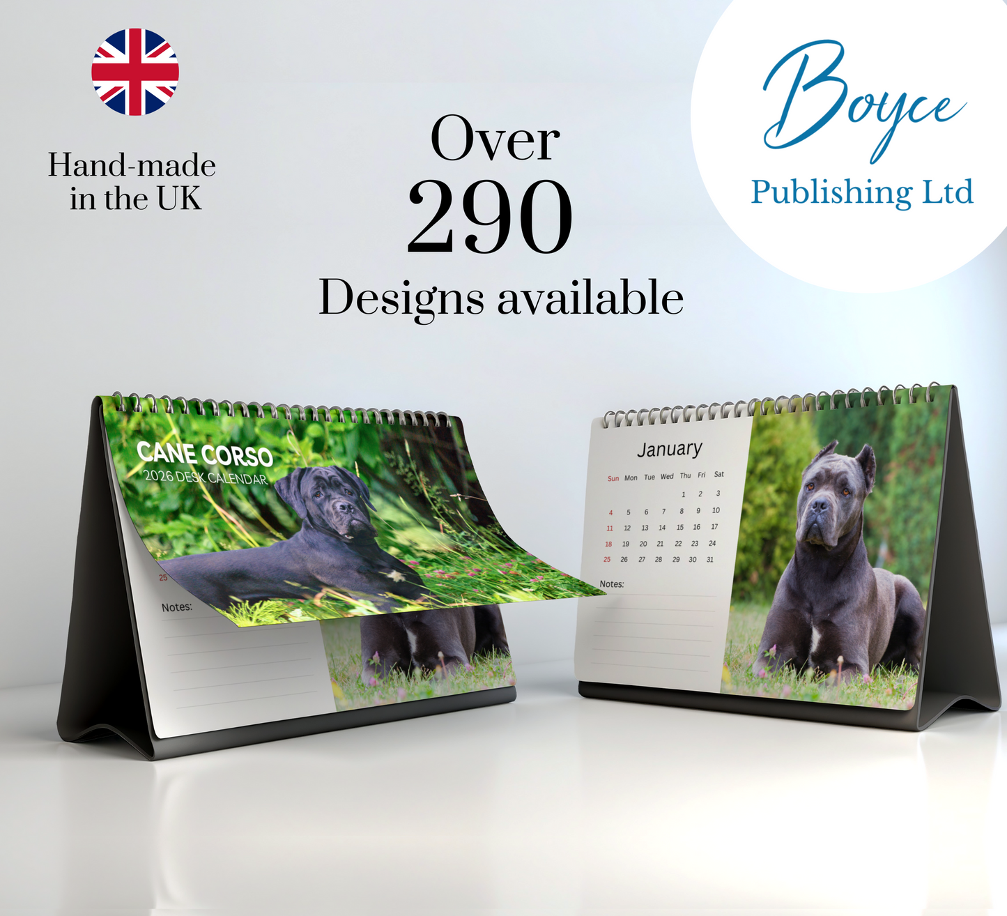Cane Corso Desk Calendar 2026-2027