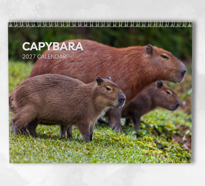 Capybara Calendar 2027