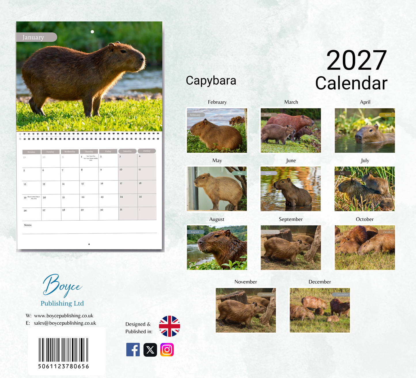 Capybara Calendar 2027