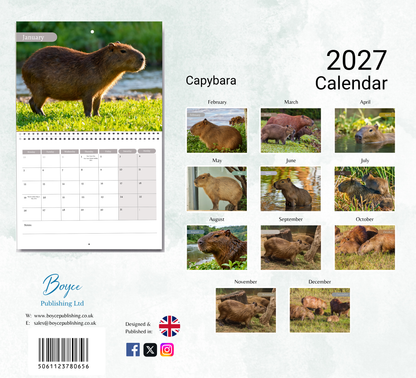 Capybara Calendar 2027