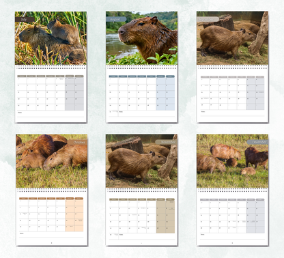 Capybara Calendar 2027