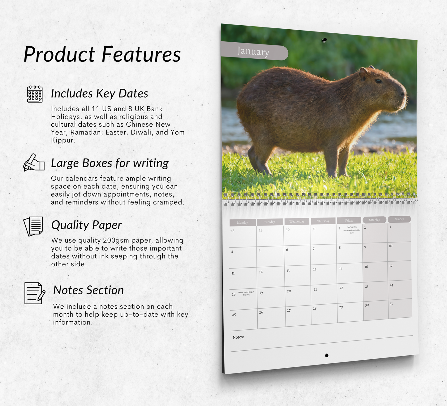 Capybara Calendar 2027