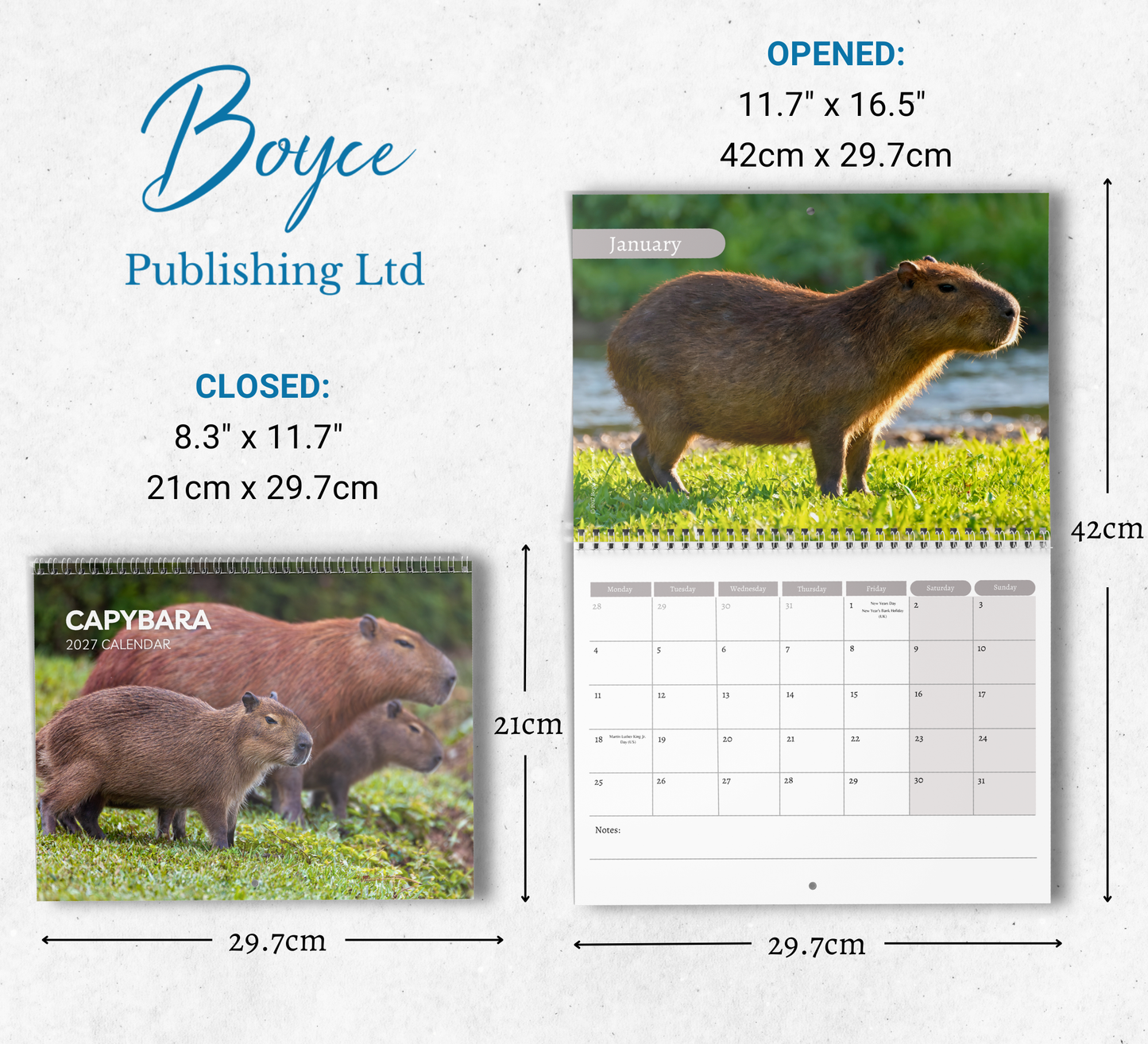 Capybara Calendar 2027