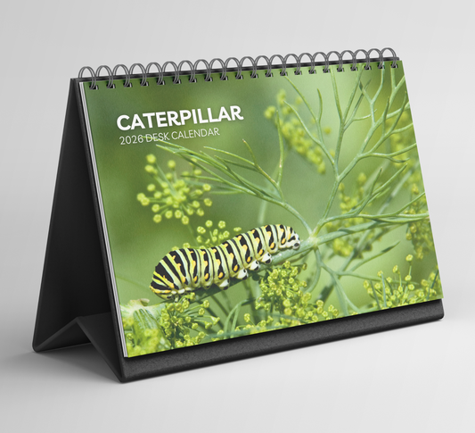 Caterpillar Desk Calendar 2026-2027