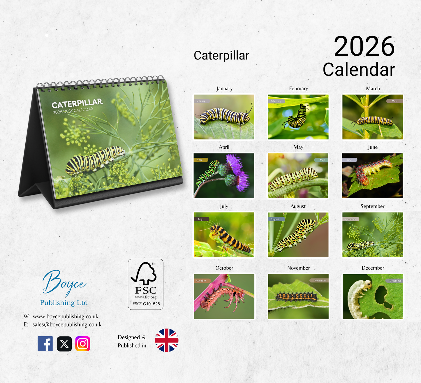 Caterpillar Desk Calendar 2026-2027