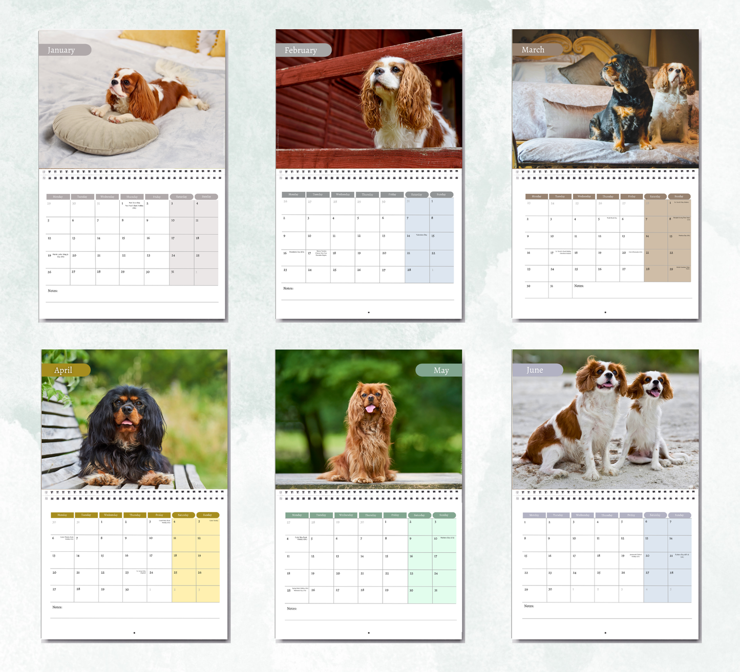 Cavalier King Charles Spaniel Calendar 2027