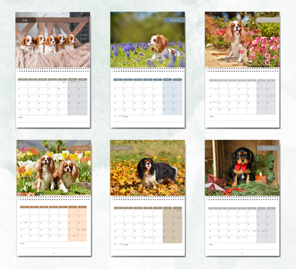 Cavalier King Charles Spaniel Calendar 2027