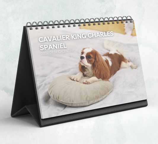 Cavalier King Charles Spaniel Desk Calendar 2027-2028