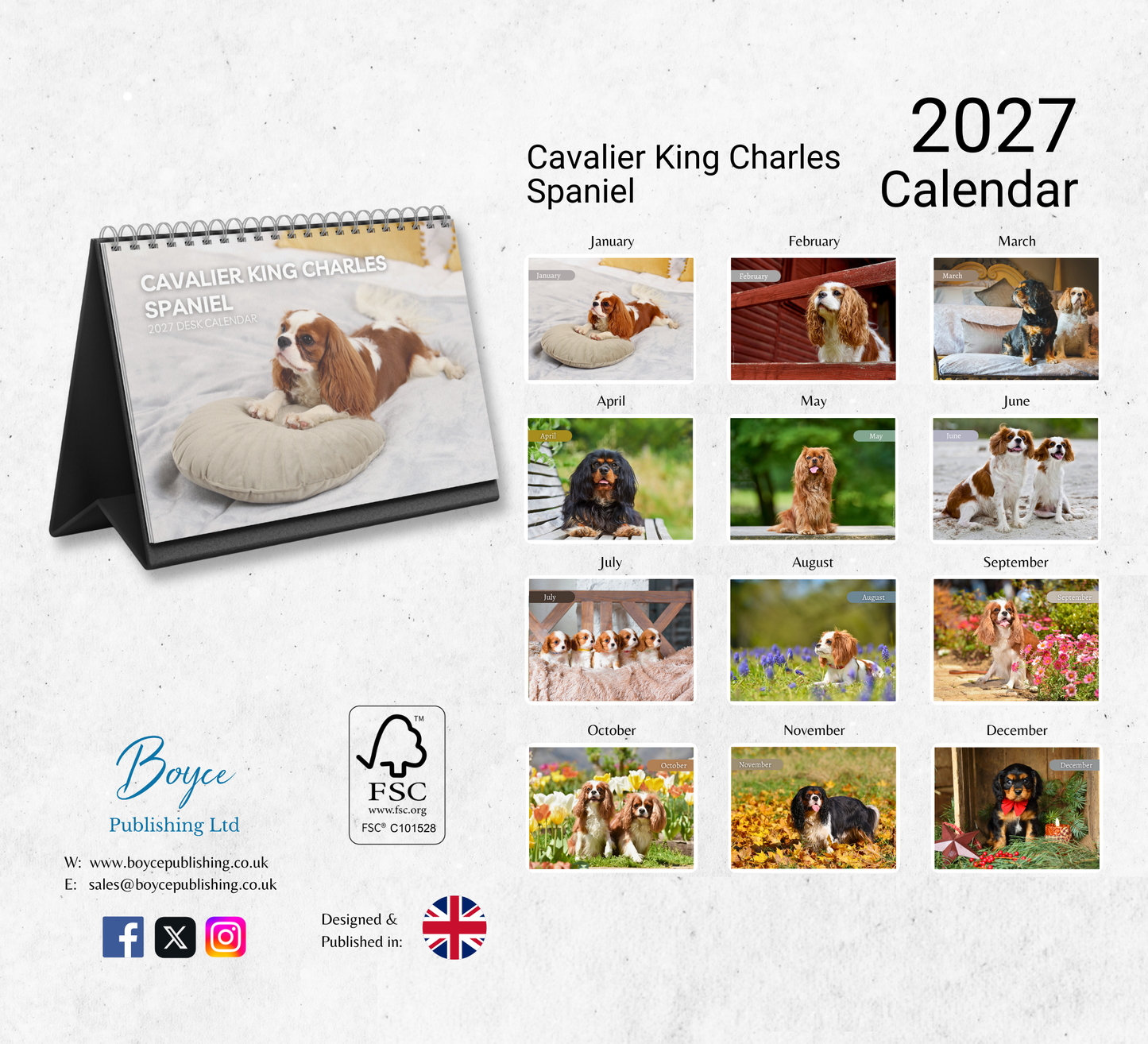 Cavalier King Charles Spaniel Desk Calendar 2027-2028