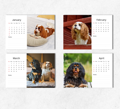 Cavalier King Charles Spaniel Desk Calendar 2027-2028
