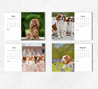 Cavalier King Charles Spaniel Desk Calendar 2027-2028