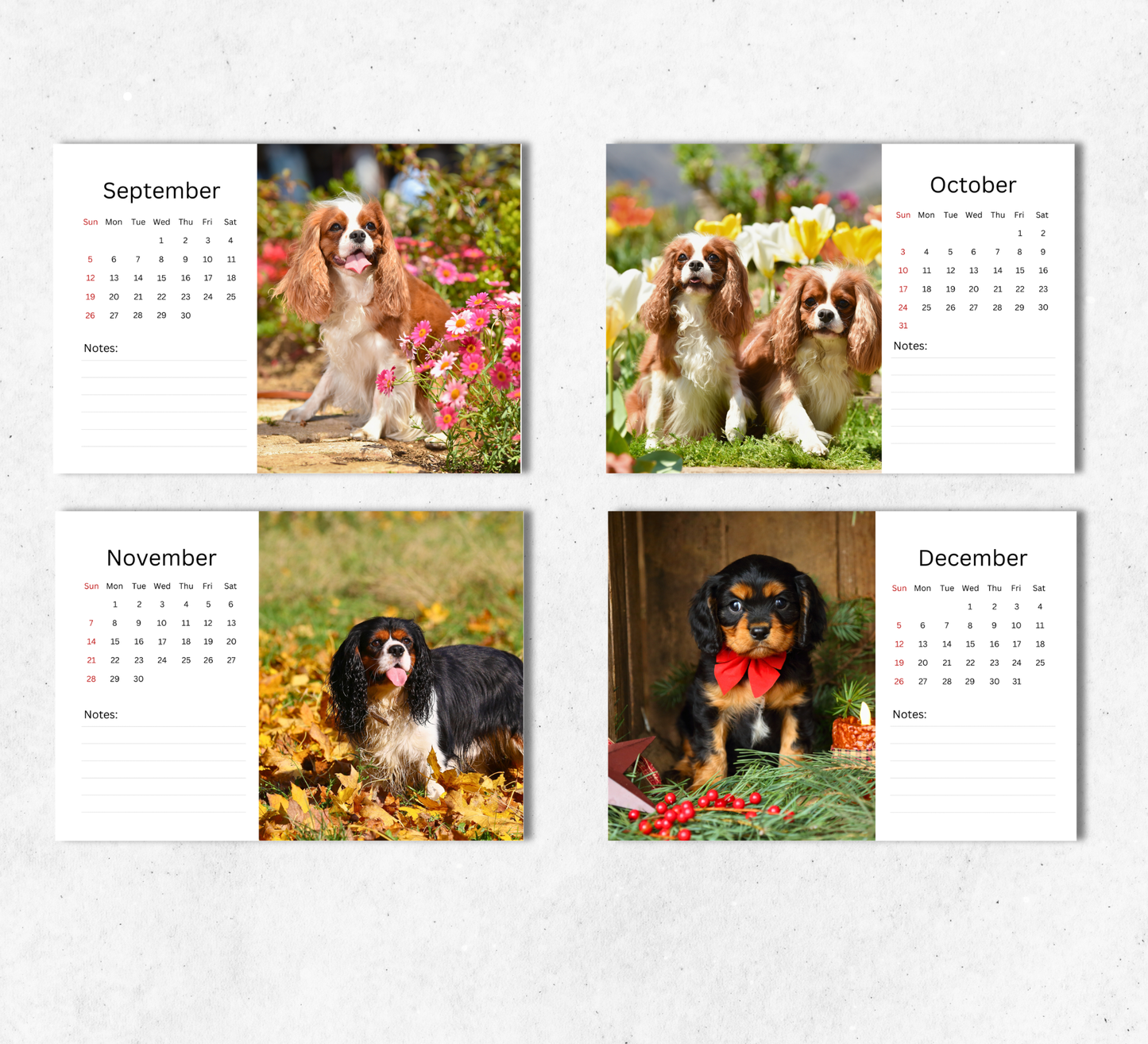 Cavalier King Charles Spaniel Desk Calendar 2027-2028