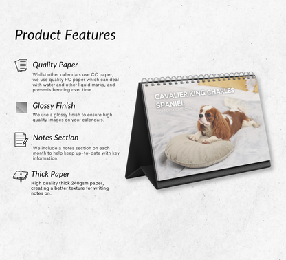 Cavalier King Charles Spaniel Desk Calendar 2027-2028