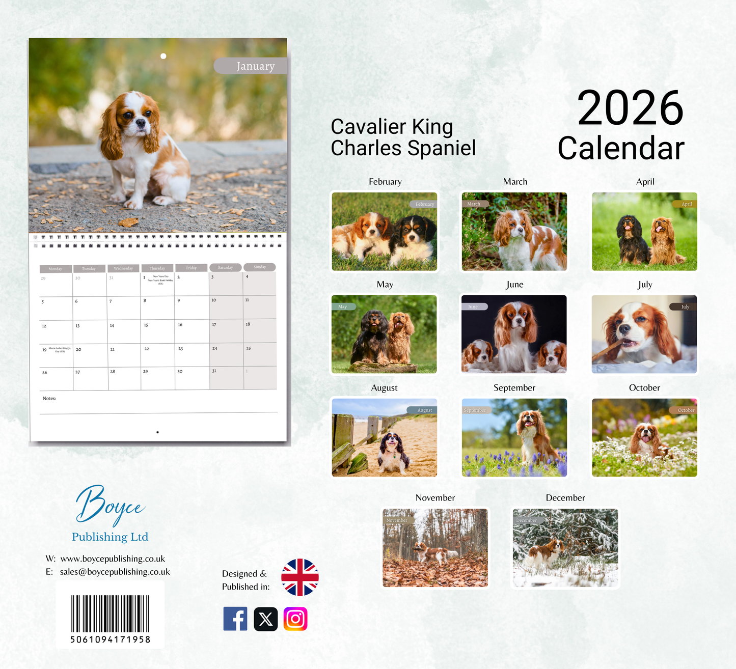 Cavalier King Charles Spaniel Calendar 2026