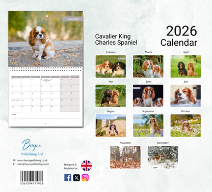 Cavalier King Charles Spaniel Calendar 2026