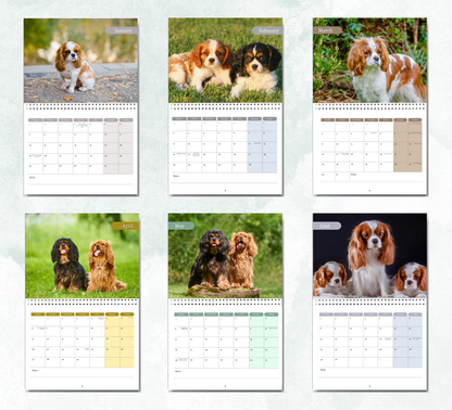 Cavalier King Charles Spaniel Calendar 2026