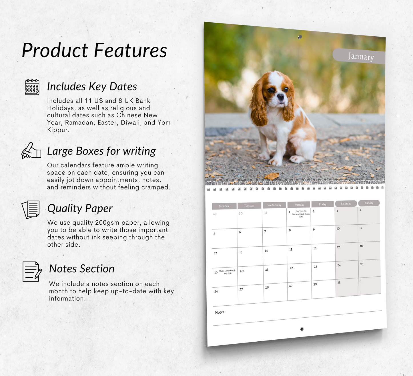 Cavalier King Charles Spaniel Calendar 2026