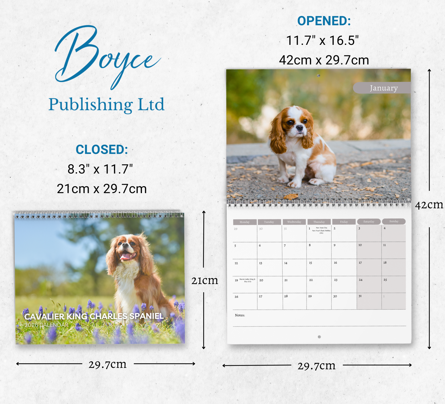 Cavalier King Charles Spaniel Calendar 2026