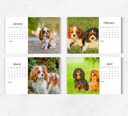 Cavalier King Charles Spaniel Desk Calendar 2026-2027