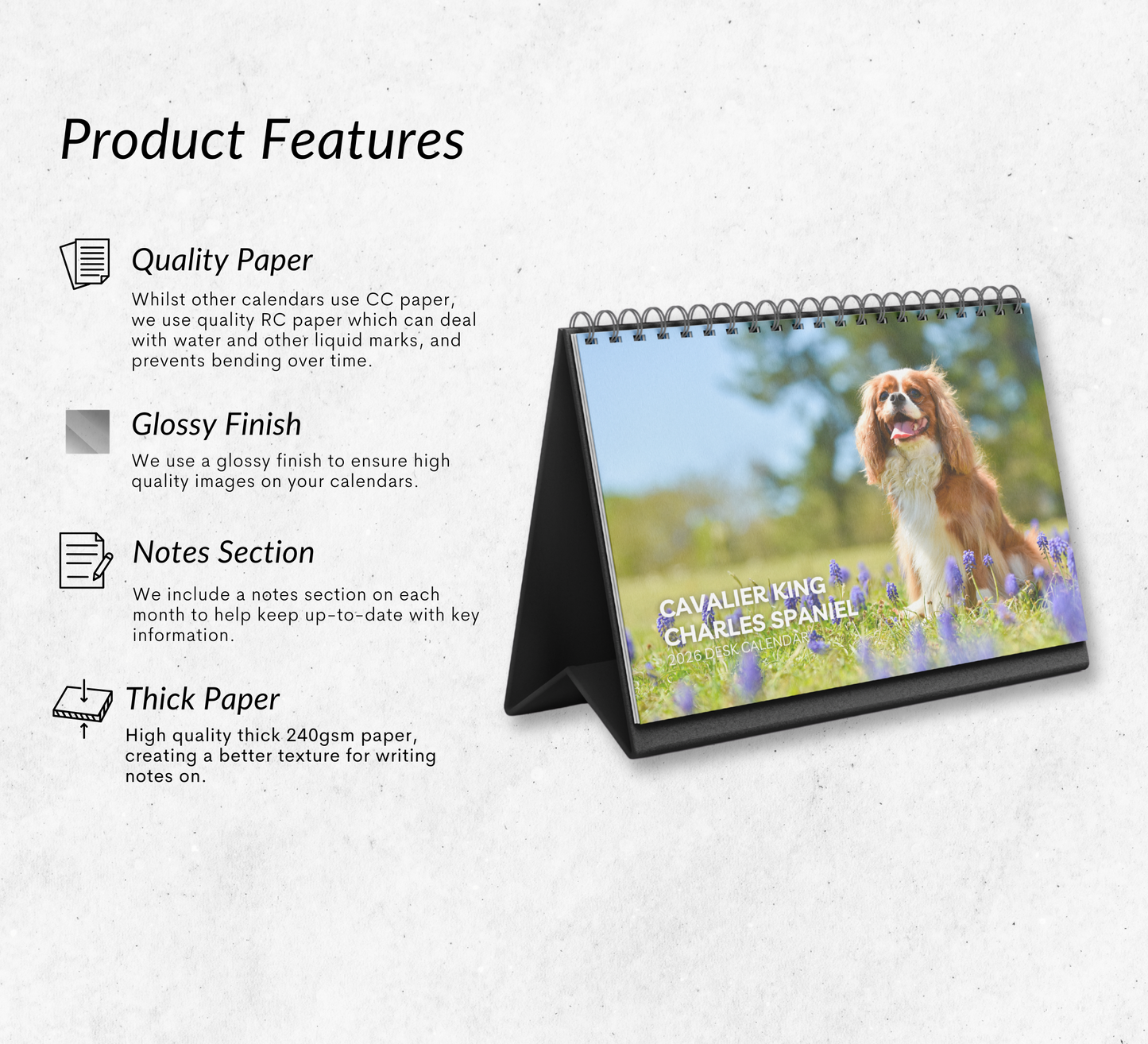 Cavalier King Charles Spaniel Desk Calendar 2026-2027