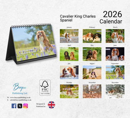 Cavalier King Charles Spaniel Desk Calendar 2026-2027