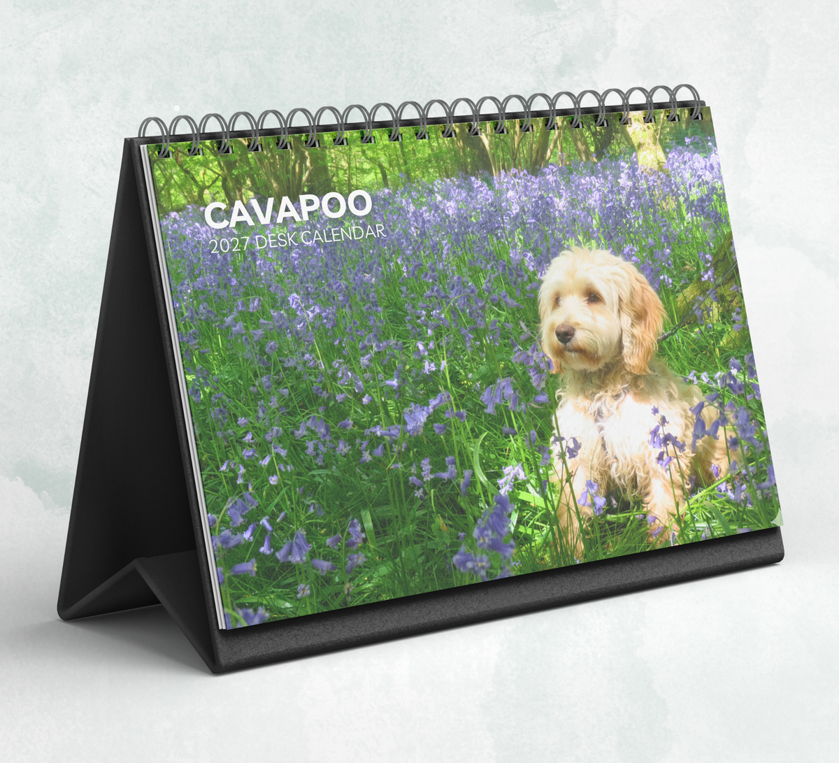 Cavapoo Desk Calendar 2027-2028