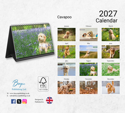 Cavapoo Desk Calendar 2027-2028