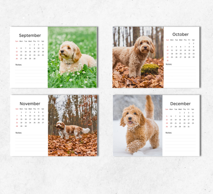 Cavapoo Desk Calendar 2027-2028