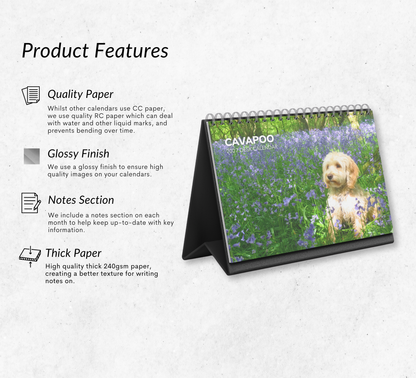 Cavapoo Desk Calendar 2027-2028