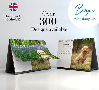 Cavapoo Desk Calendar 2027-2028