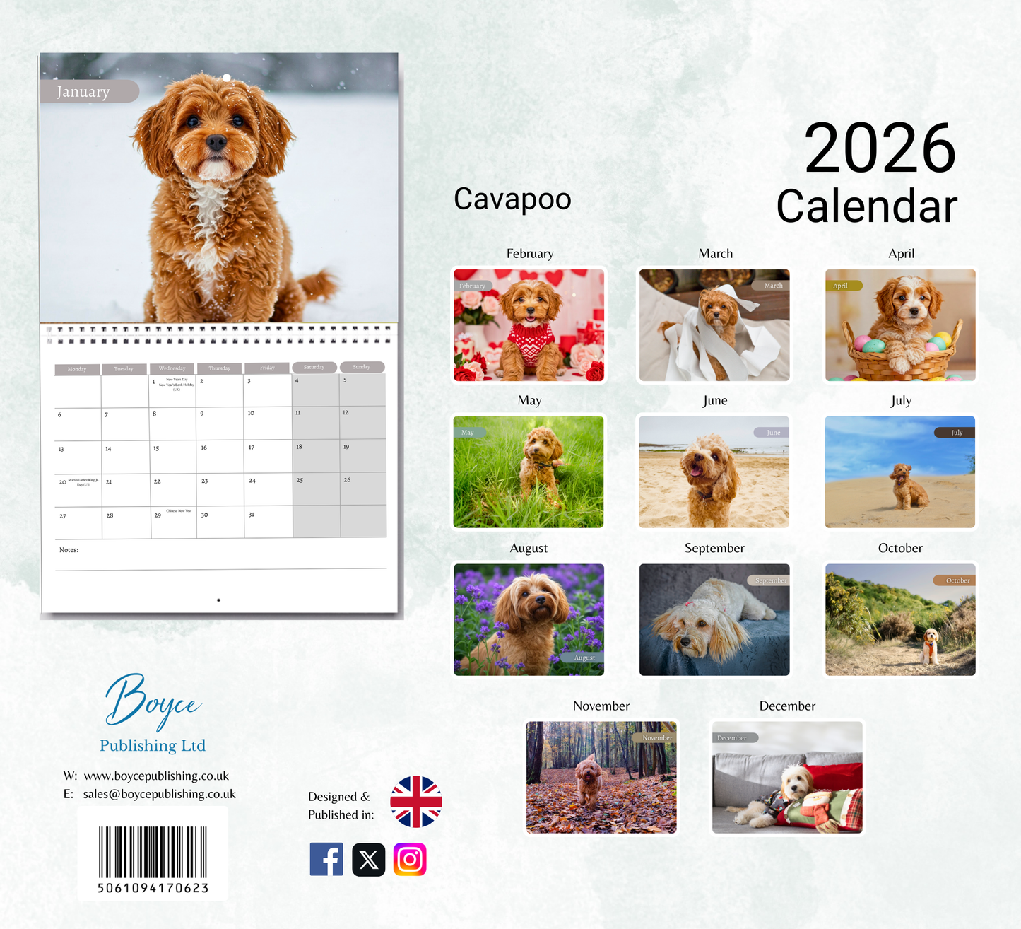 Cavapoo Calendar 2026