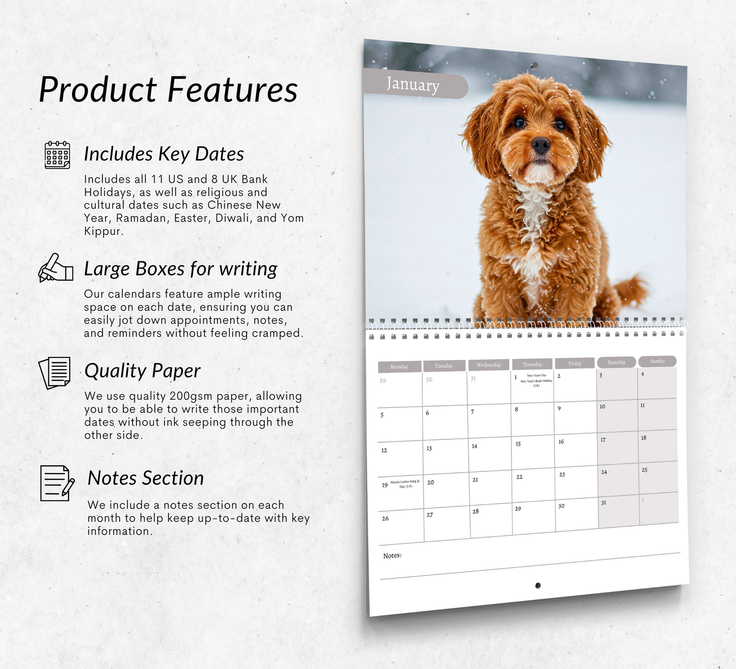 Cavapoo Calendar 2026